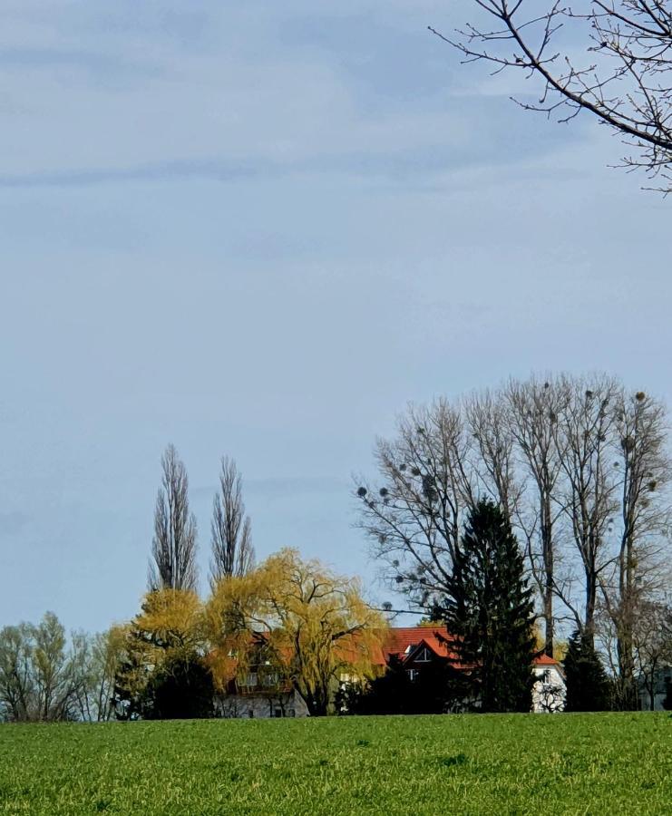 Haus Mueritz, Fewo 12 Moewe Zielow Buitenkant foto